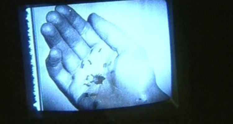 The Expression of Hands (1997)