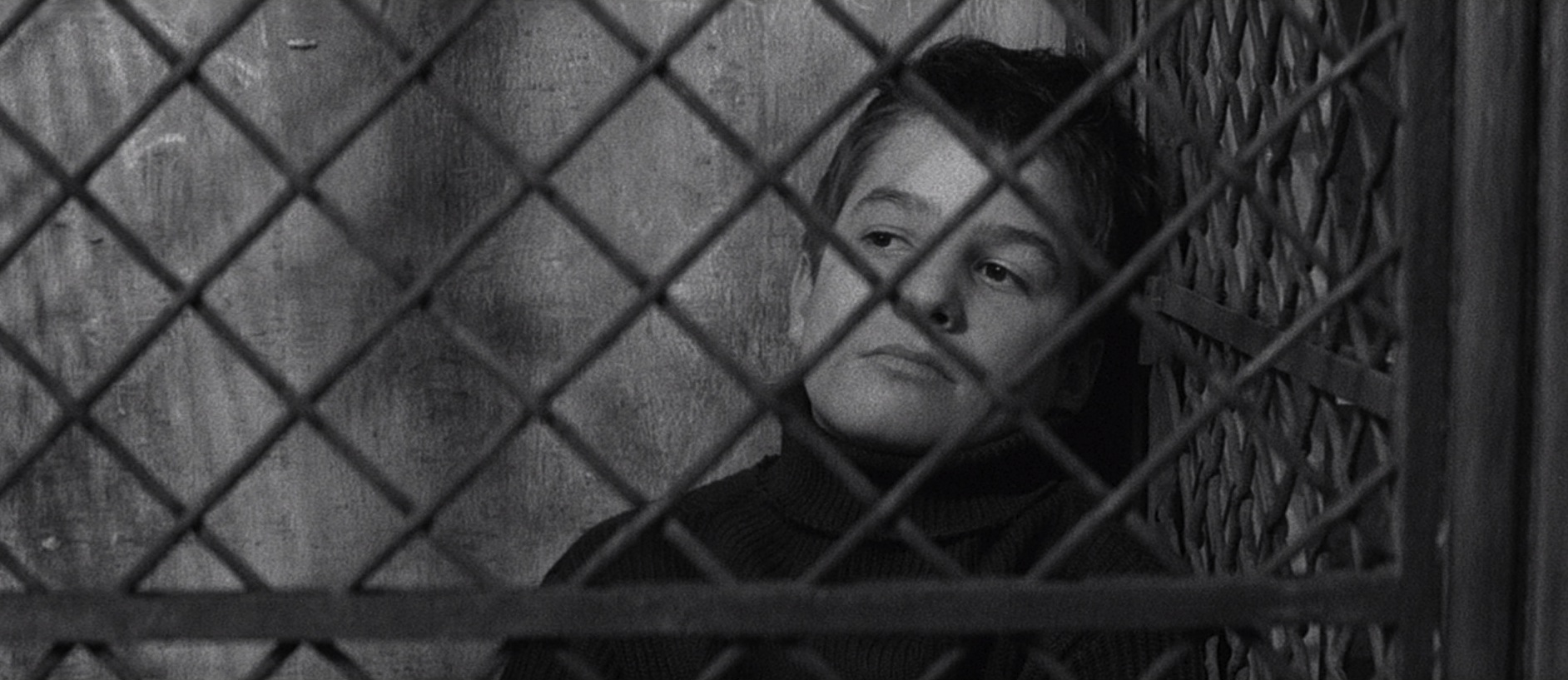 The 400 Blows movie