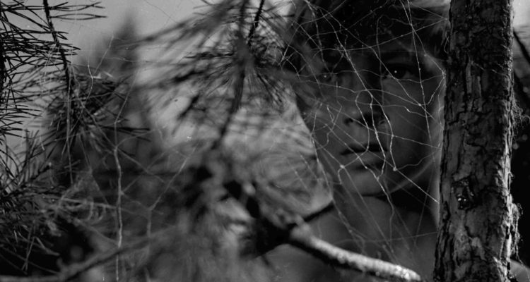 1962: Ivan's Childhood (Andrei Tarkovsky) – Senses of Cinema
